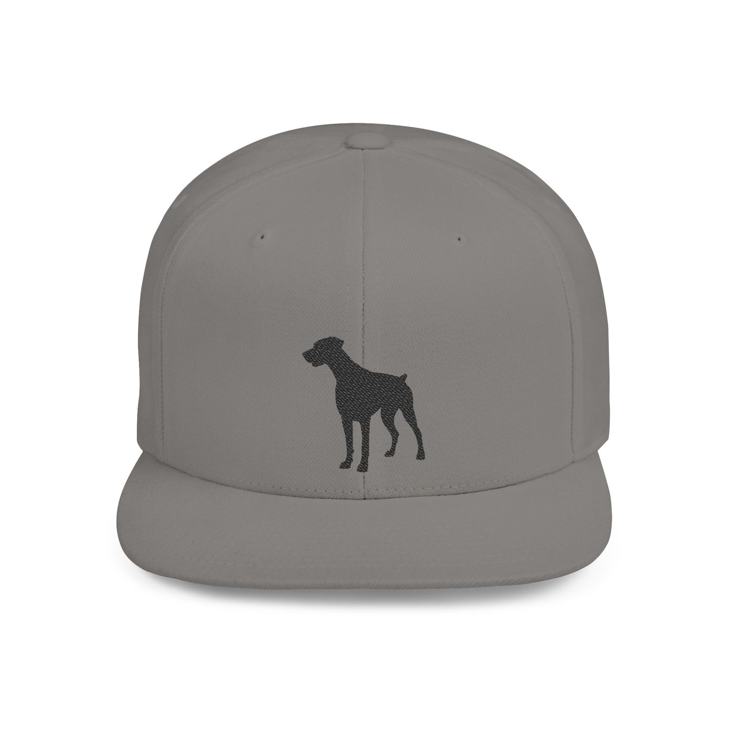 Silhouette 2 Embroidered Flat Bill Snapback
