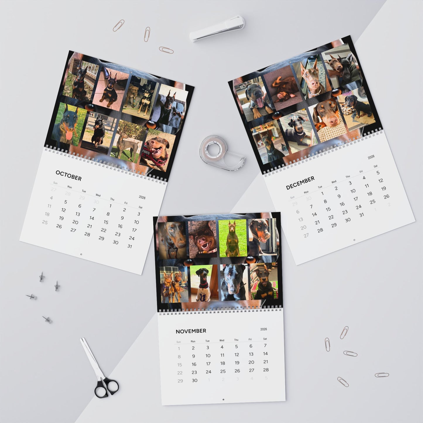Doberman Edition 1 (International Shipping)Wall Calendar 2026