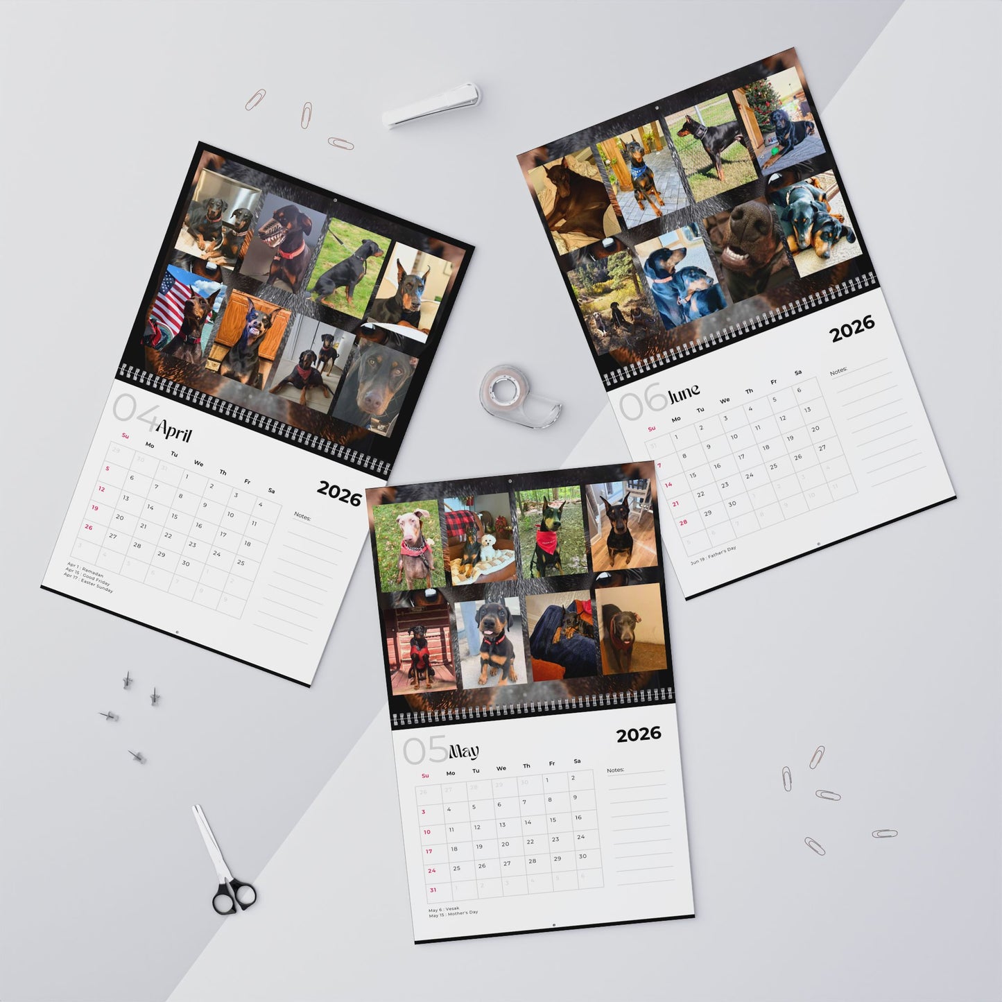 Edition 13 2026 Doberman Calendars
