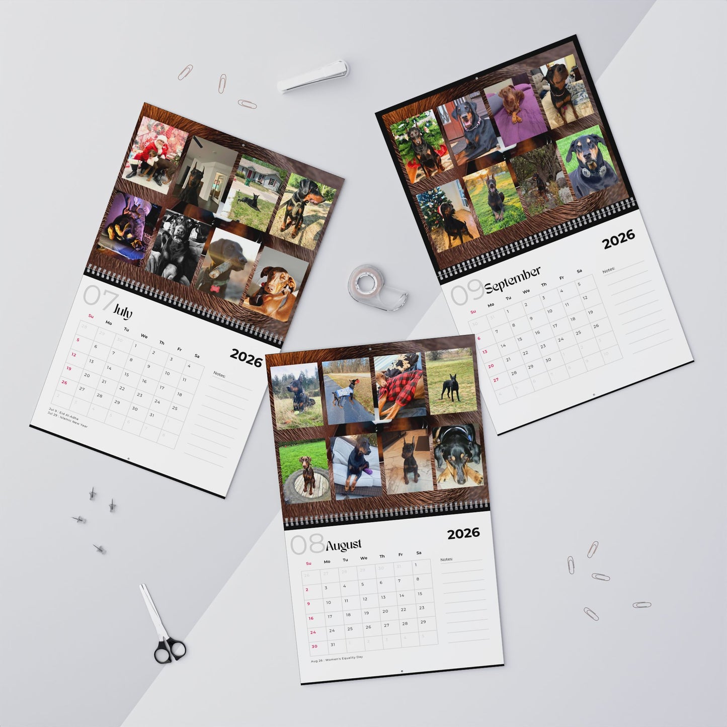 Edition 9 2026 Doberman Calendars