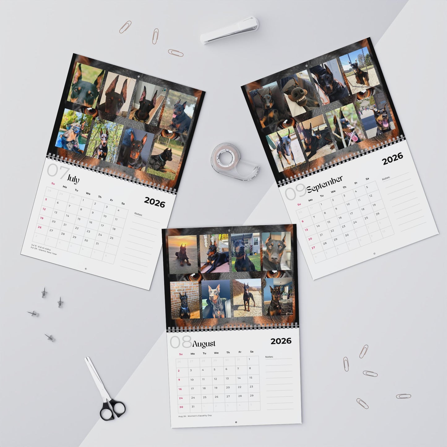 Edition 26 2026 Doberman Calendars