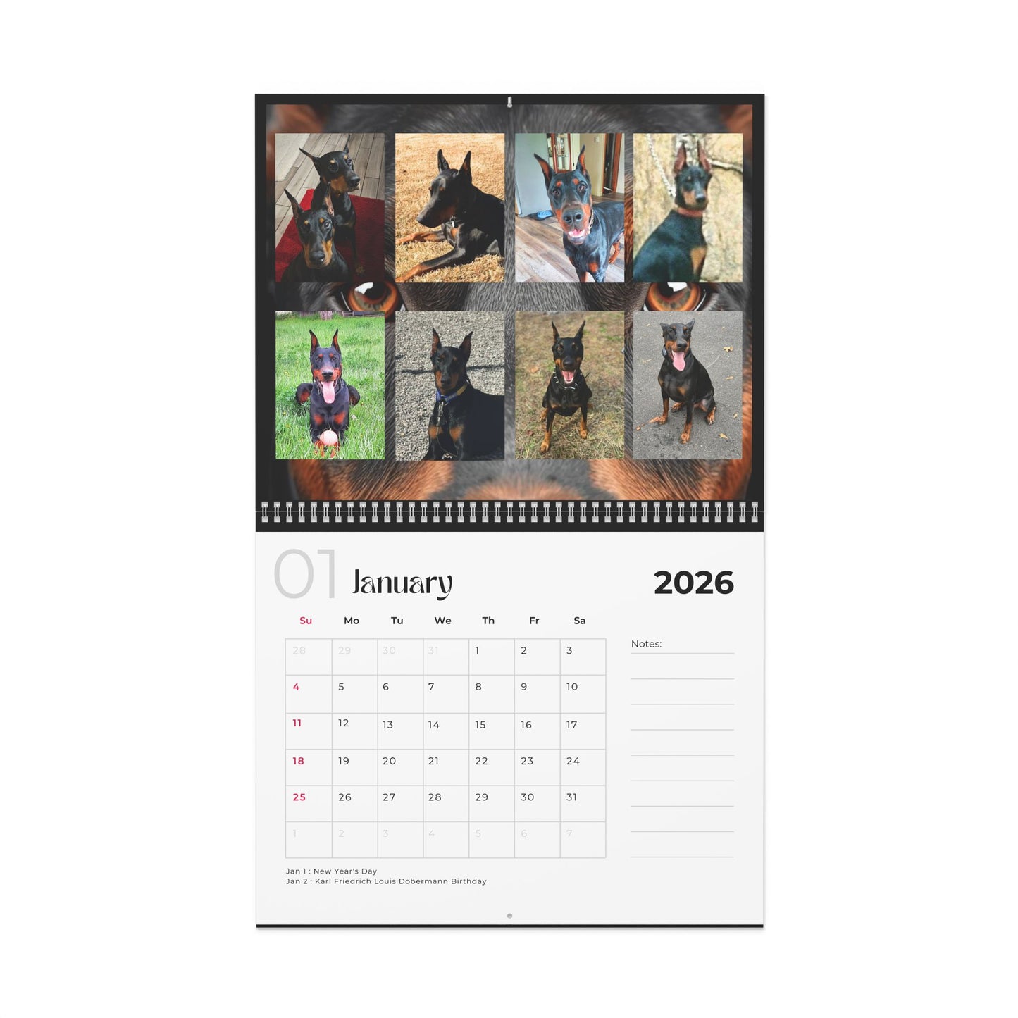 Edition 26 2026 Doberman Calendars