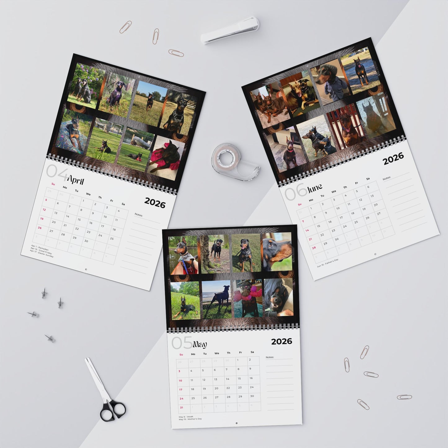 Edition 33 2026 Doberman Calendars
