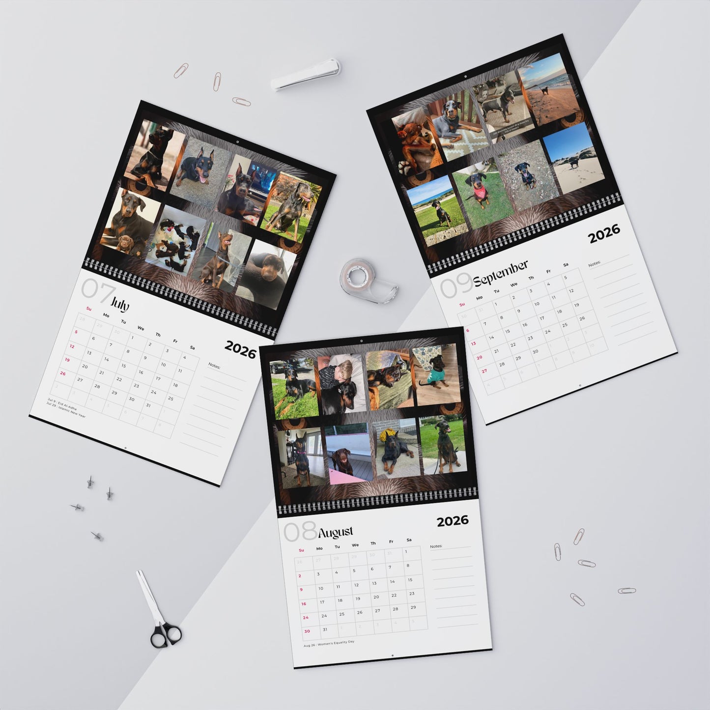 Edition 34 2026 Doberman Calendars