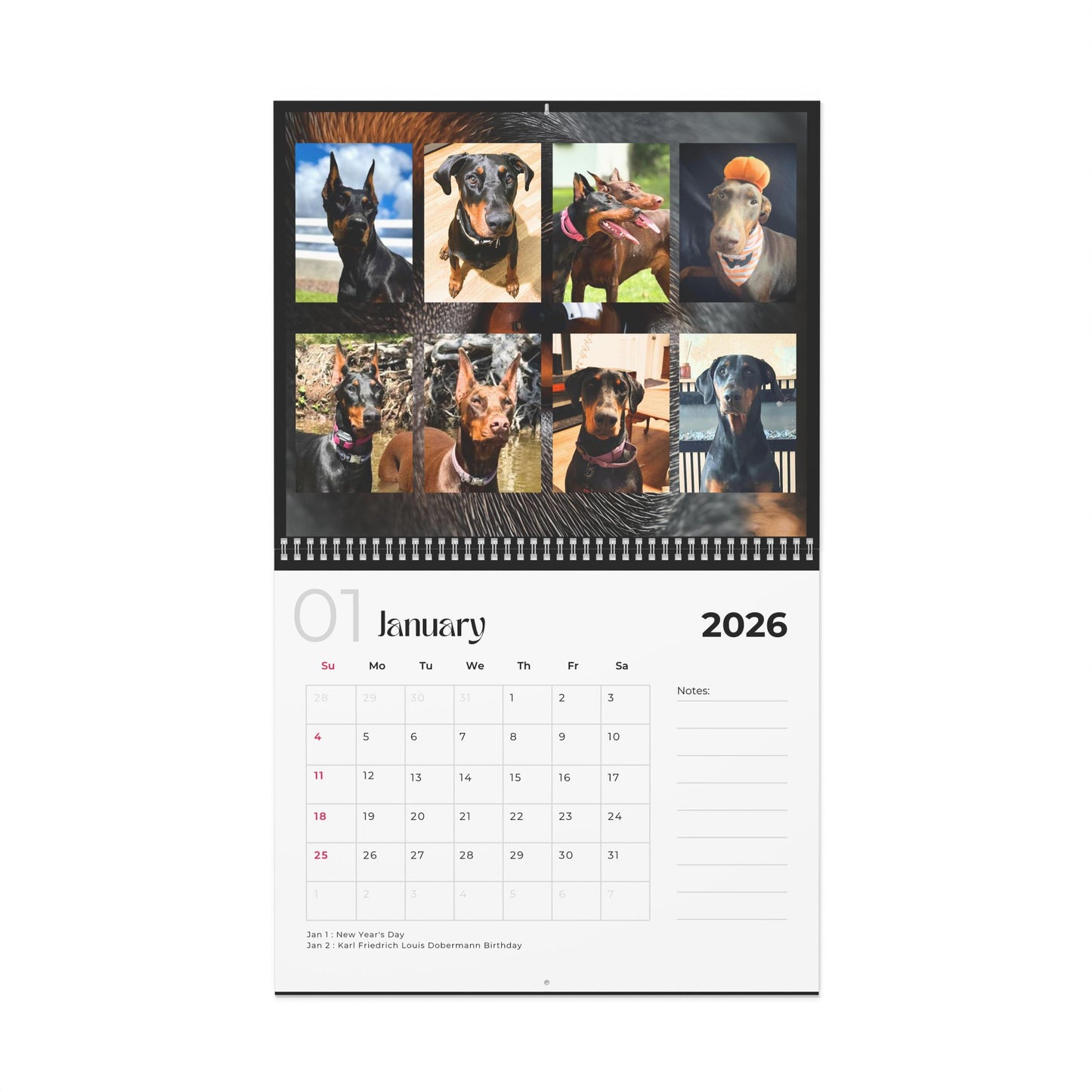 Edition 4 2026 Doberman Calendars