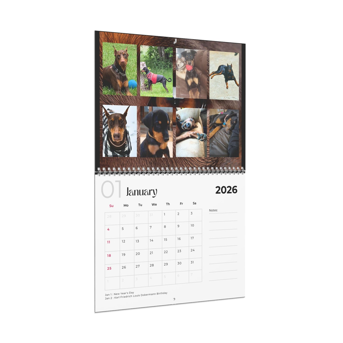 Edition 6 2026 Doberman Calendars