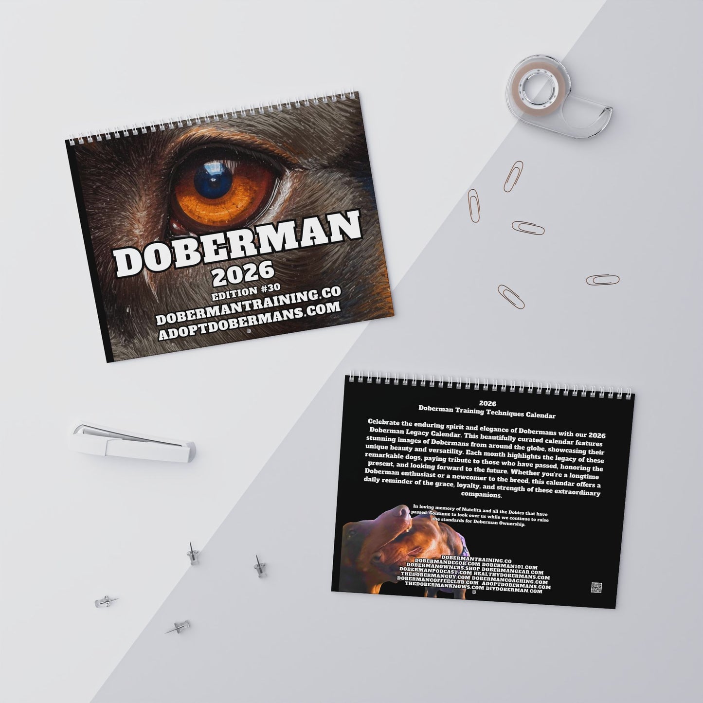 Edition 30 2026 Doberman Calendars