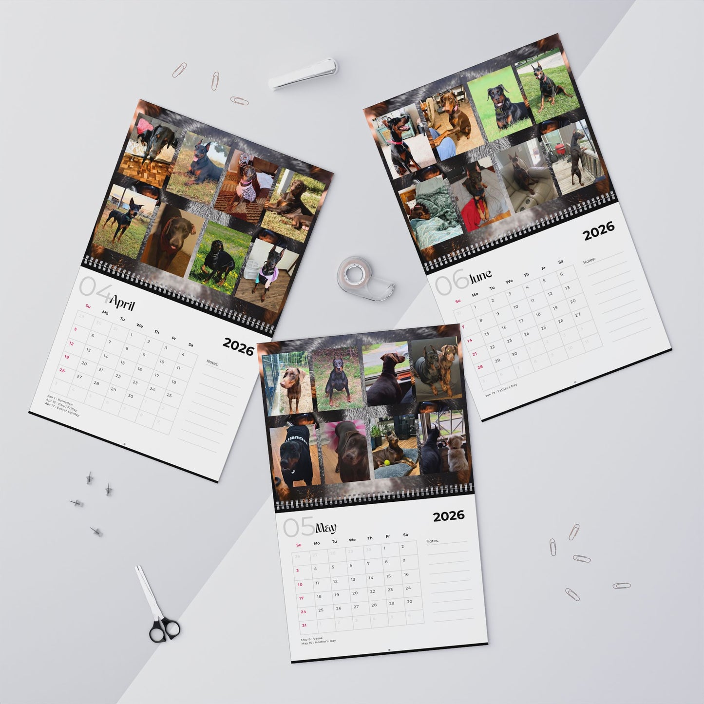 Edition 16 2026 Doberman Calendars