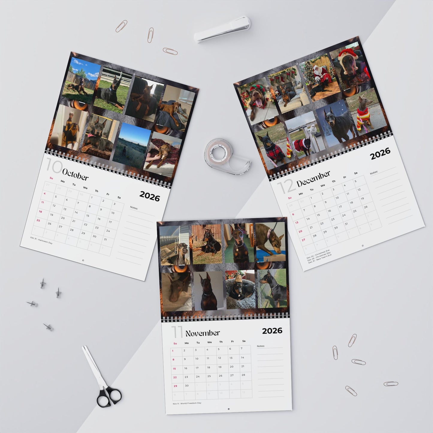 Edition 18 2026 Doberman Calendars