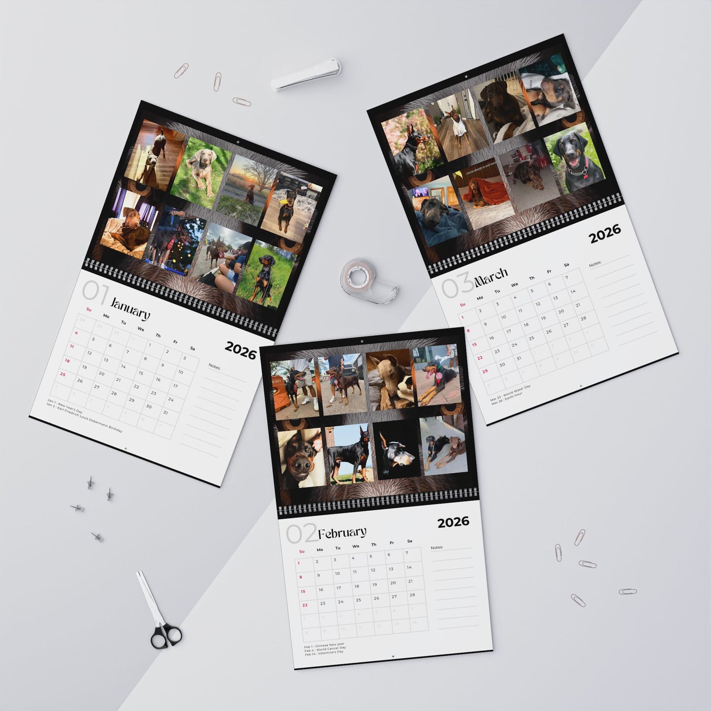 Edition 34 2026 Doberman Calendars