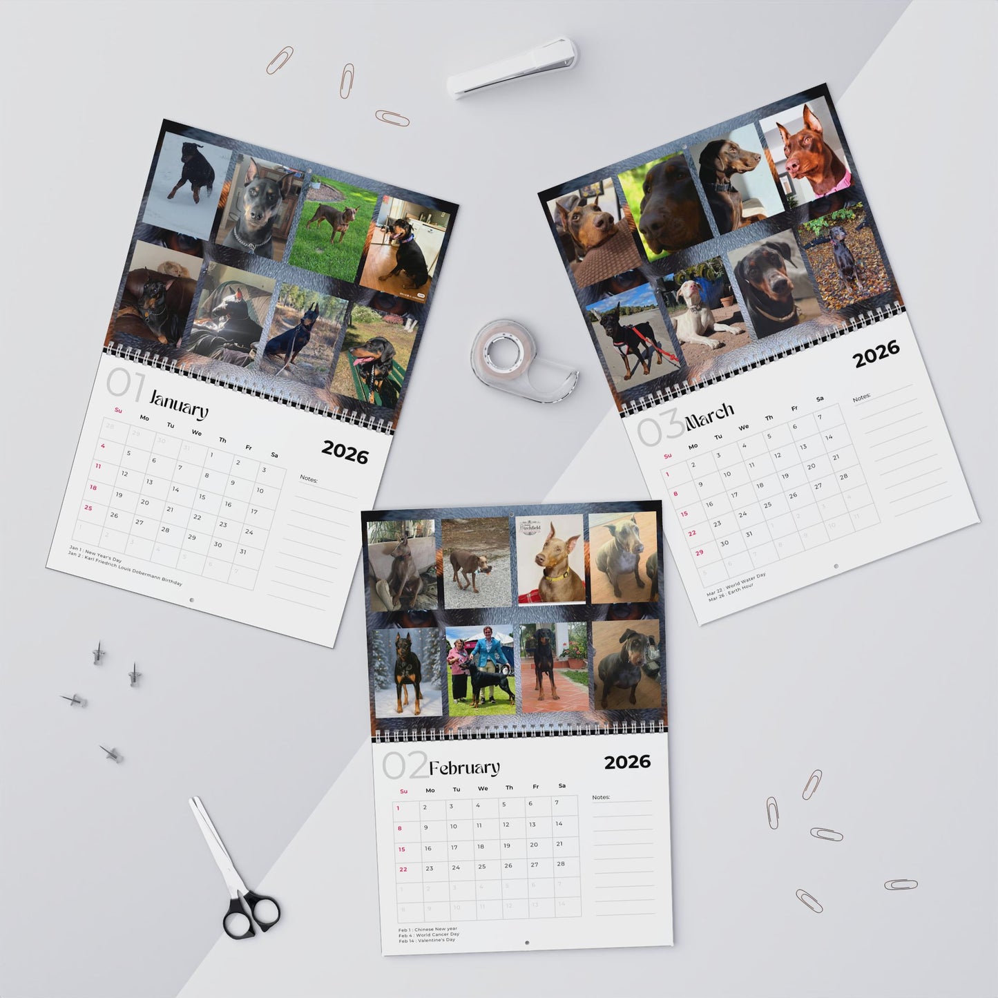Edition 21 2026 Doberman Calendars