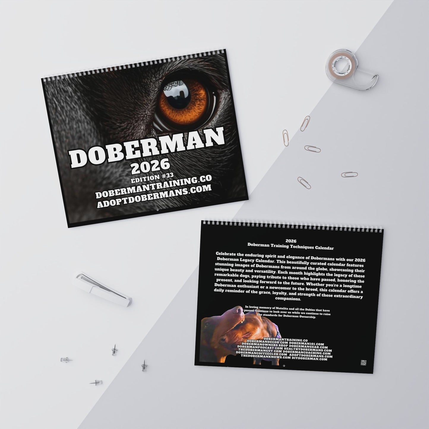 Edition 33 2026 Doberman Calendars