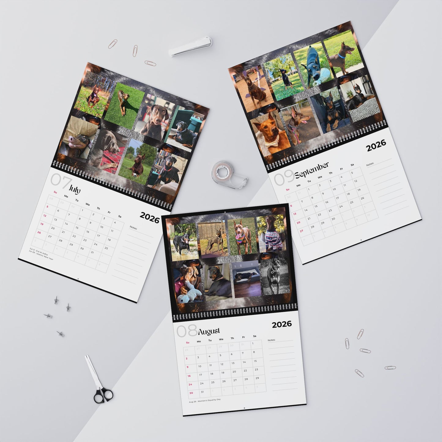 Edition 16 2026 Doberman Calendars