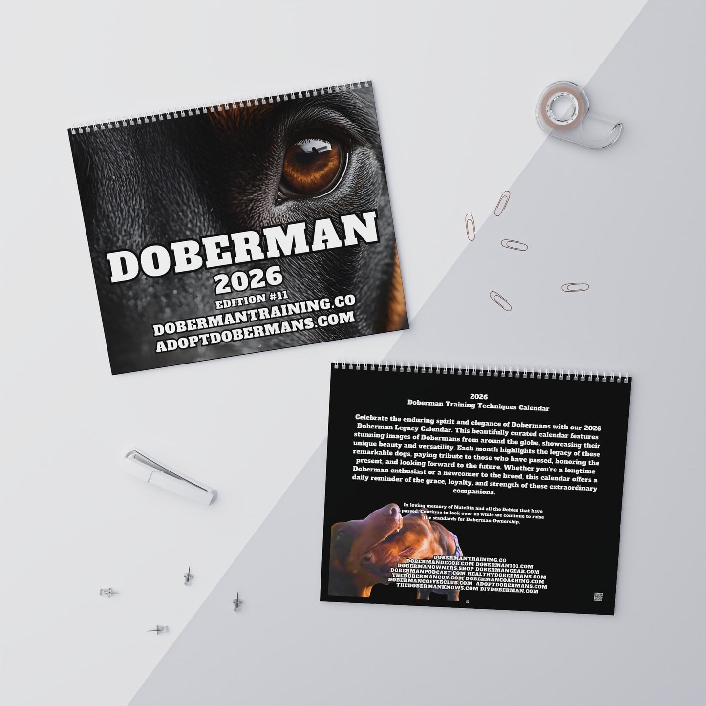 Edition 11 2026 Doberman Calendars