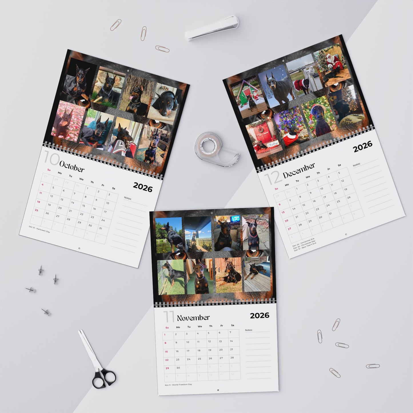 Edition 26 2026 Doberman Calendars