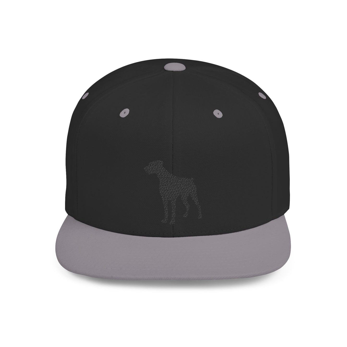 Silhouette 2 Embroidered Flat Bill Snapback