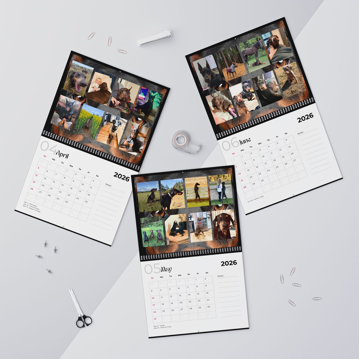 Edition 27 2026 Doberman Calendars