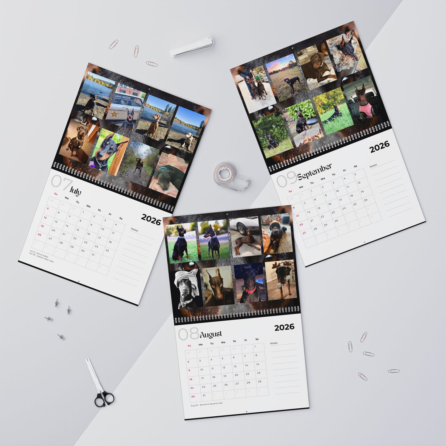 Edition 13 2026 Doberman Calendars