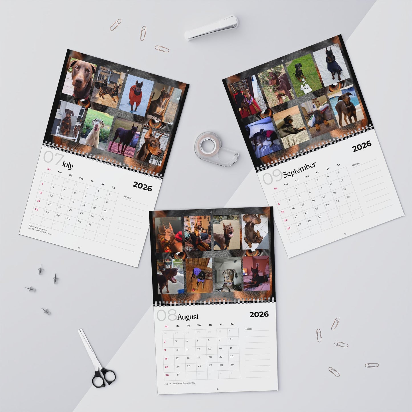 Edition 28 2026 Doberman Calendars