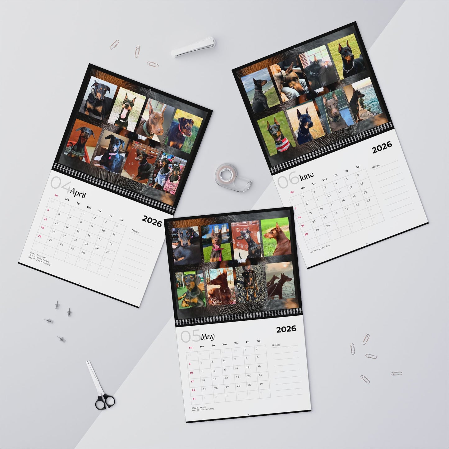Edition 4 2026 Doberman Calendars