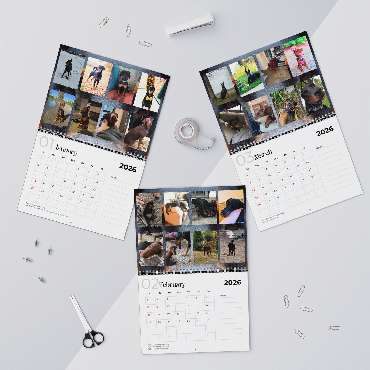 Edition 22 2026 Doberman Calendars
