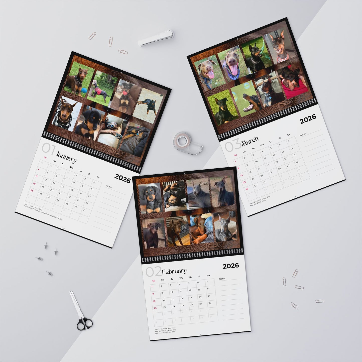 Edition 6 2026 Doberman Calendars