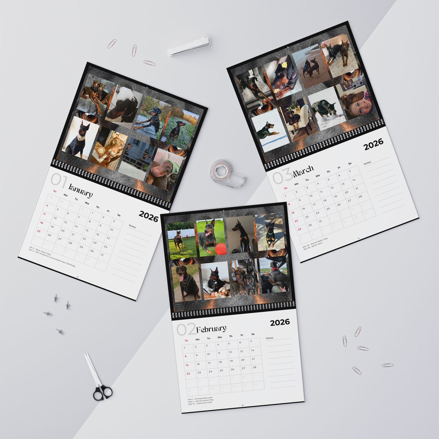 Edition 29 2026 Doberman Calendars