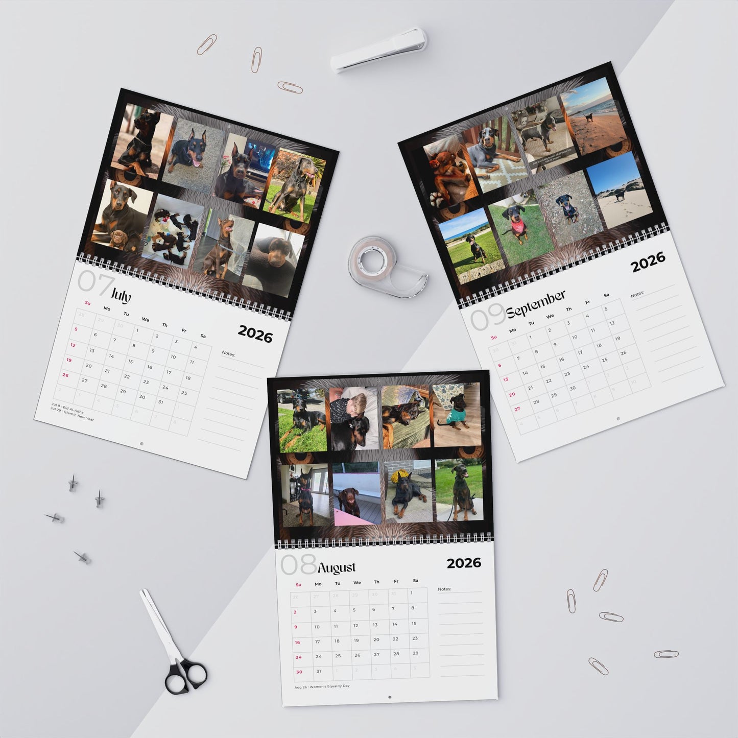 Edition 34 2026 Doberman Calendars