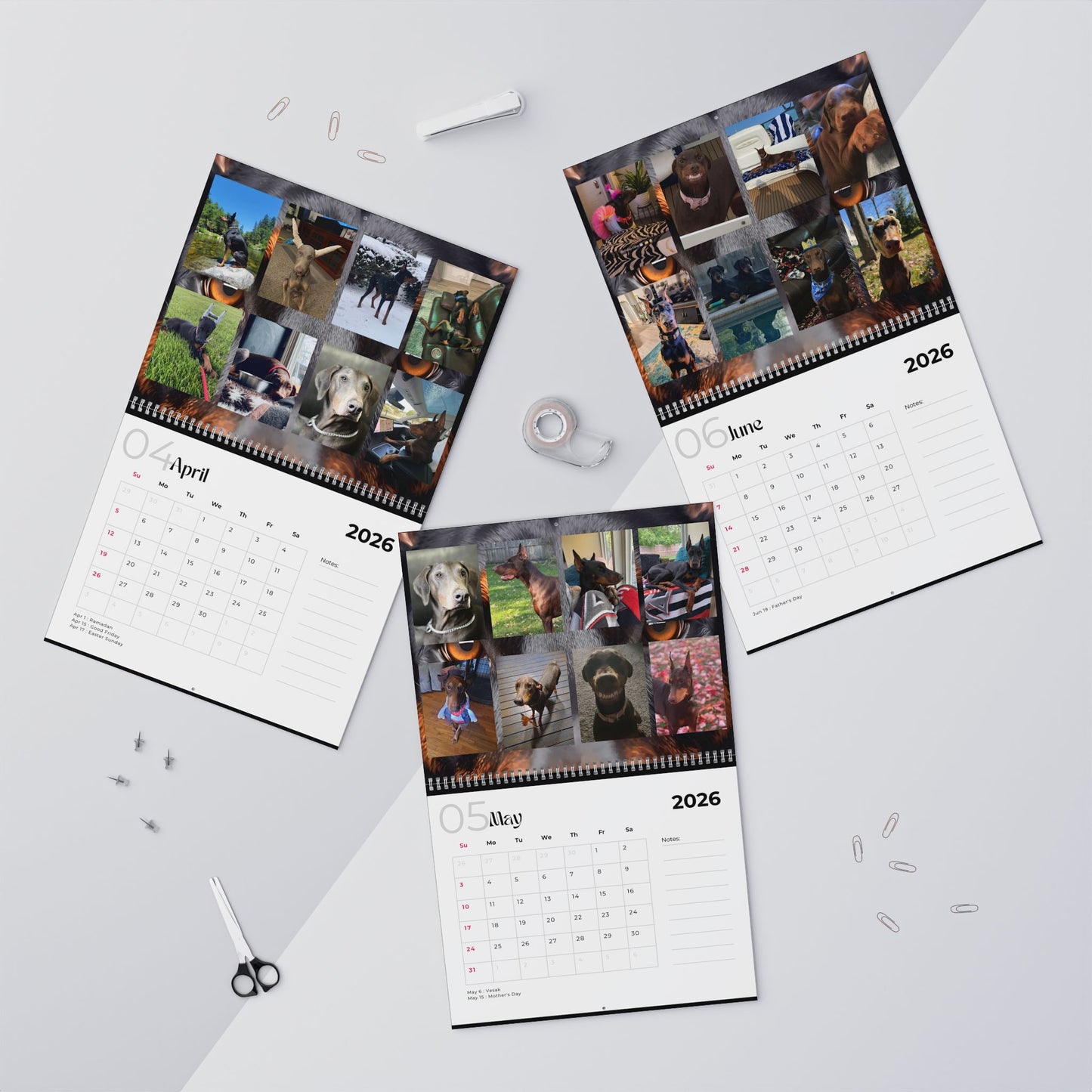 Edition 19 2026 Doberman Calendars