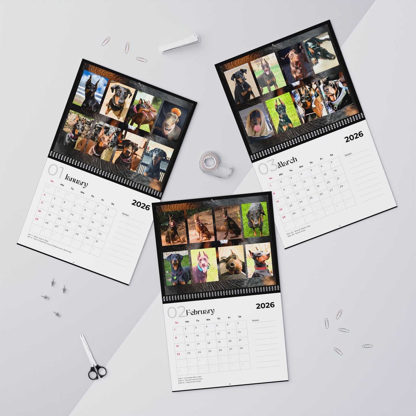 Edition 4 2026 Doberman Calendars