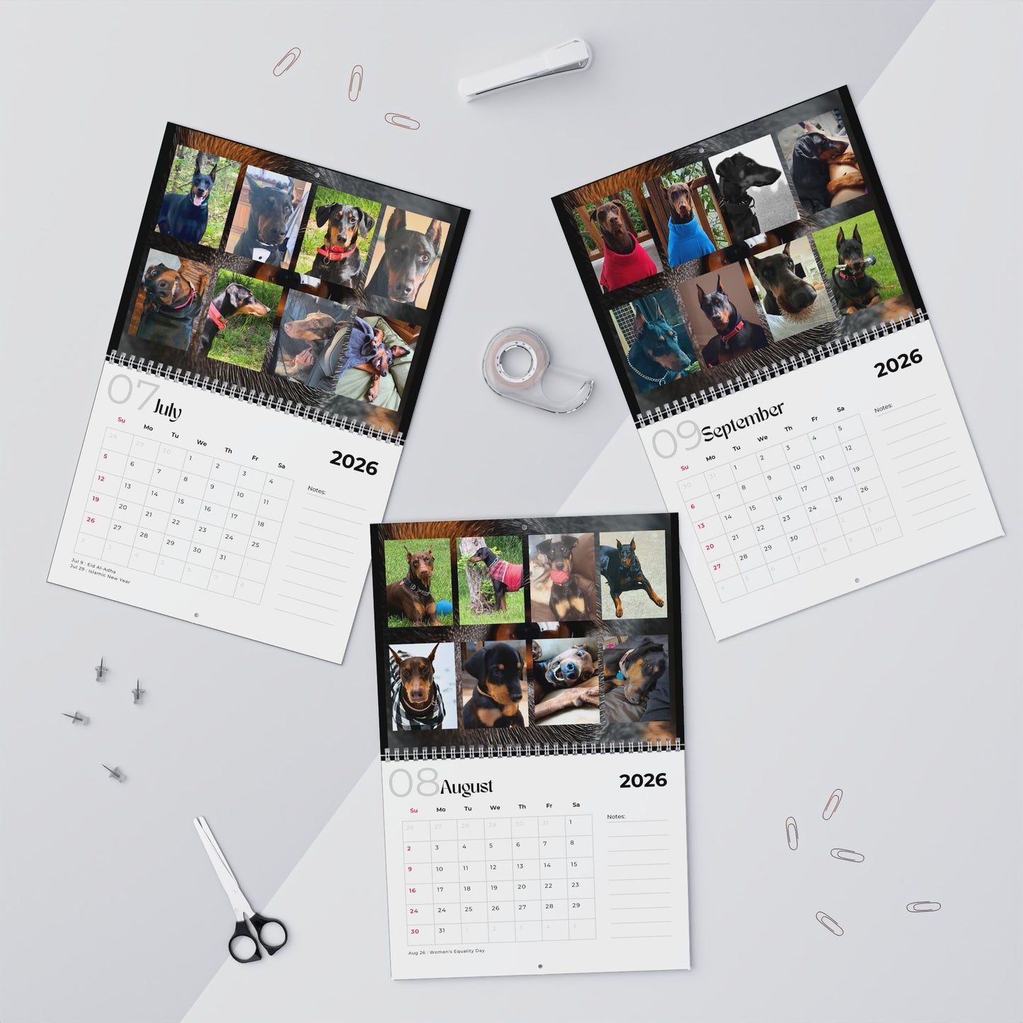 Edition 5 2026 Doberman Calendars