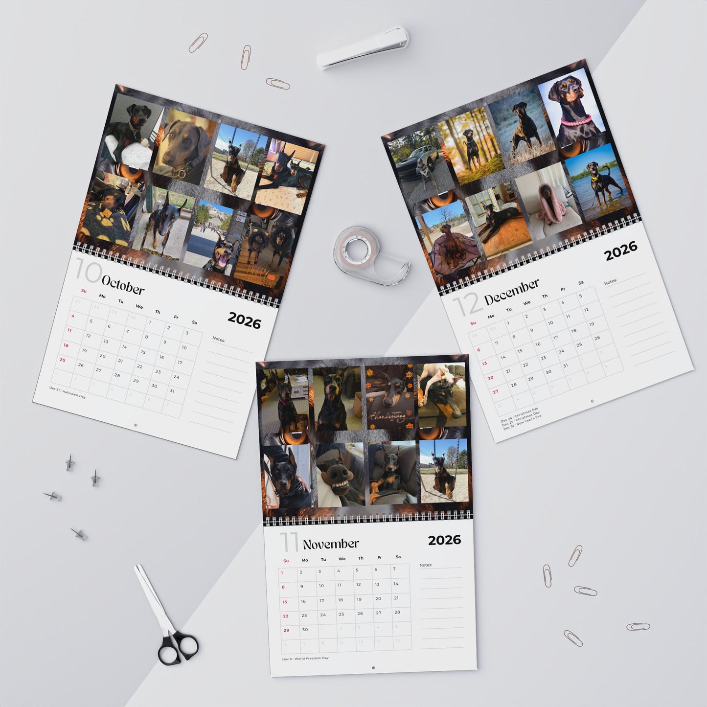Edition 19 2026 Doberman Calendars