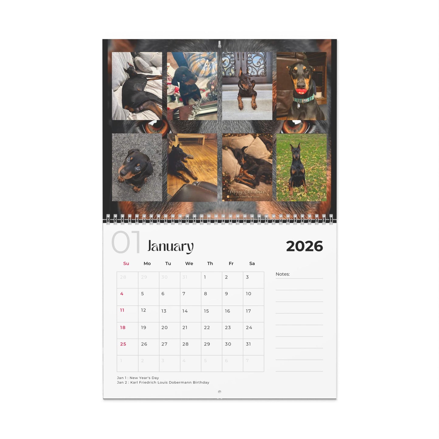 Edition 28 2026 Doberman Calendars