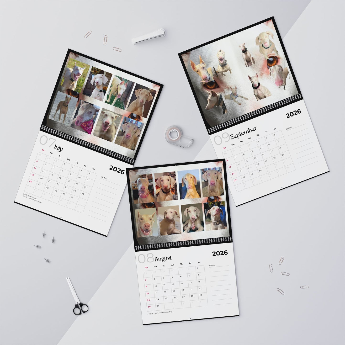 Edition 25 2026 Doberman Calendars