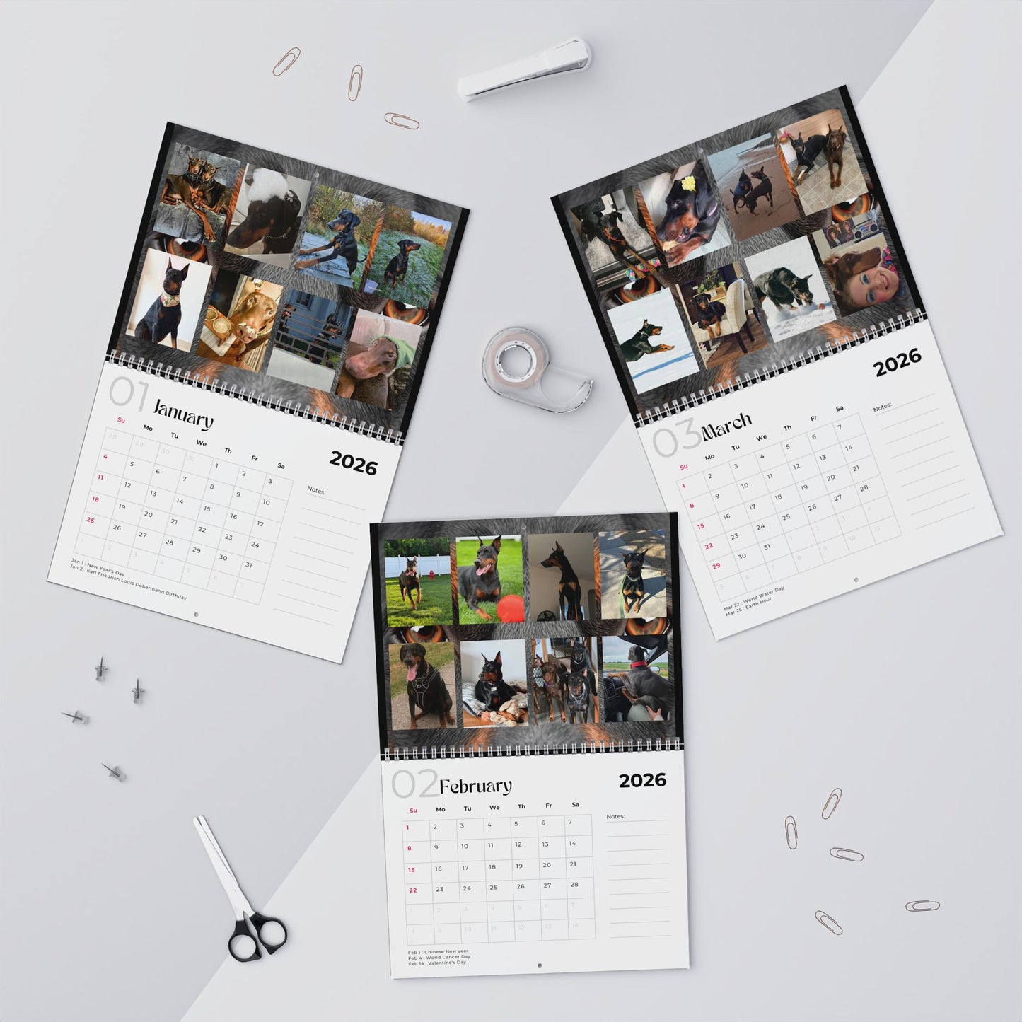 Edition 29 2026 Doberman Calendars