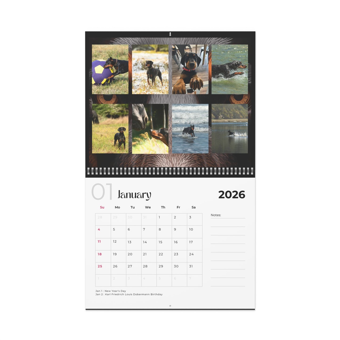 Edition 35 2026 Doberman Calendars