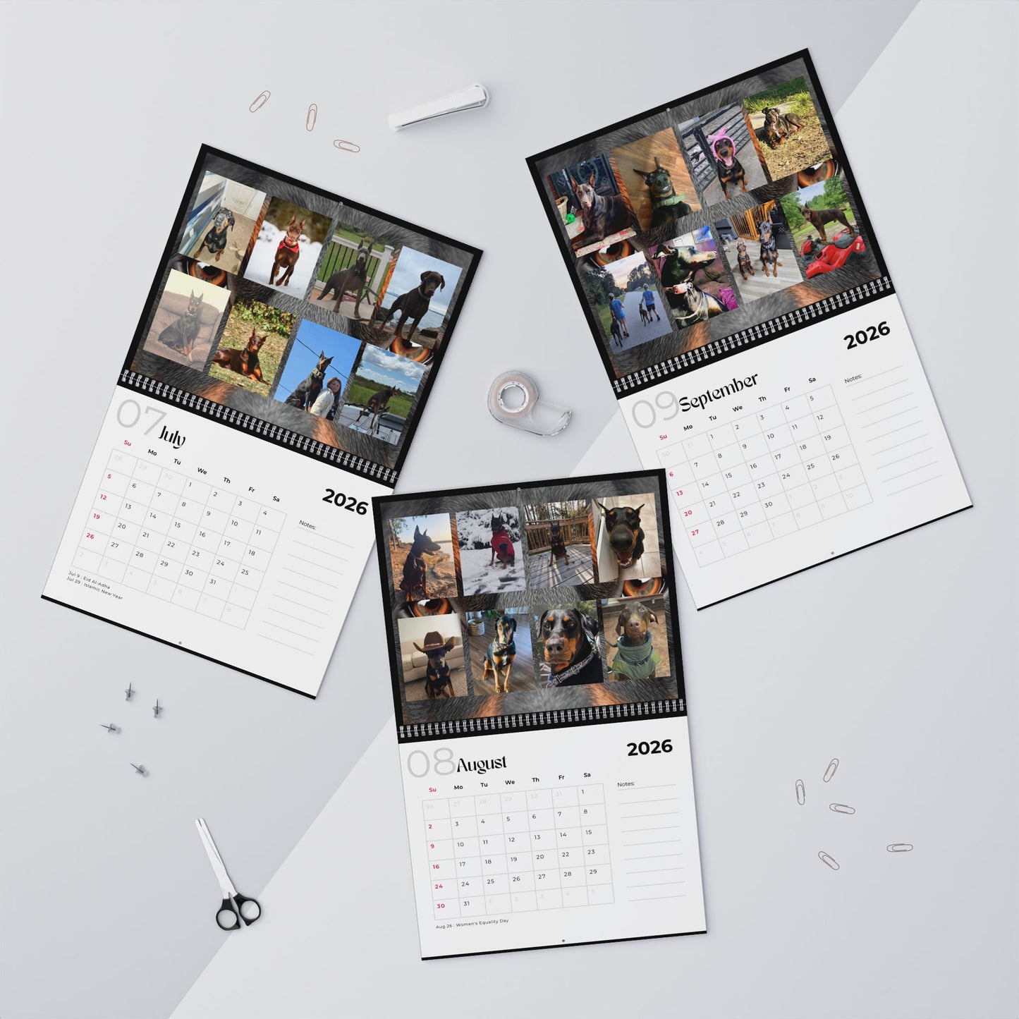 Edition 30 2026 Doberman Calendars