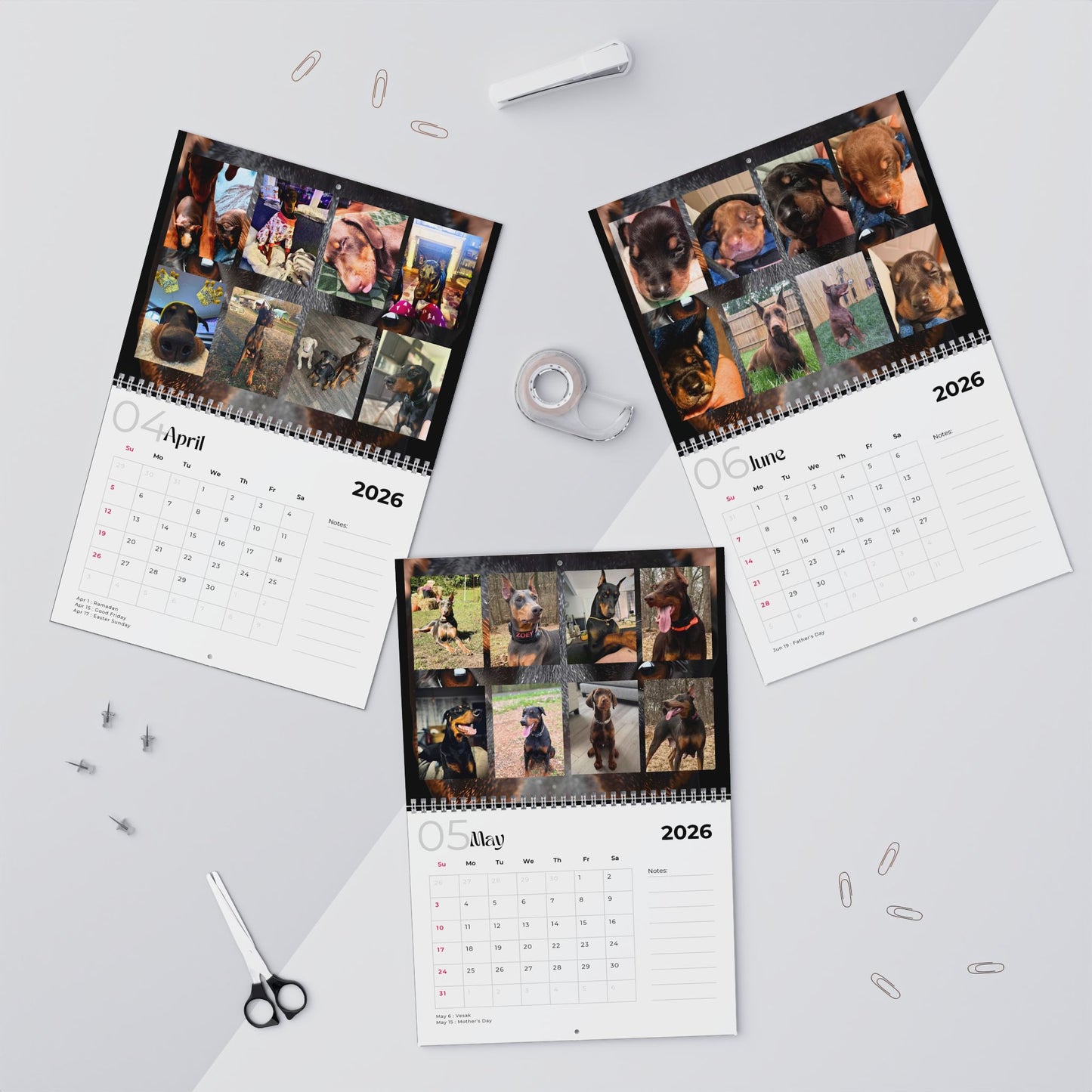Edition 14 2026 Doberman Calendars