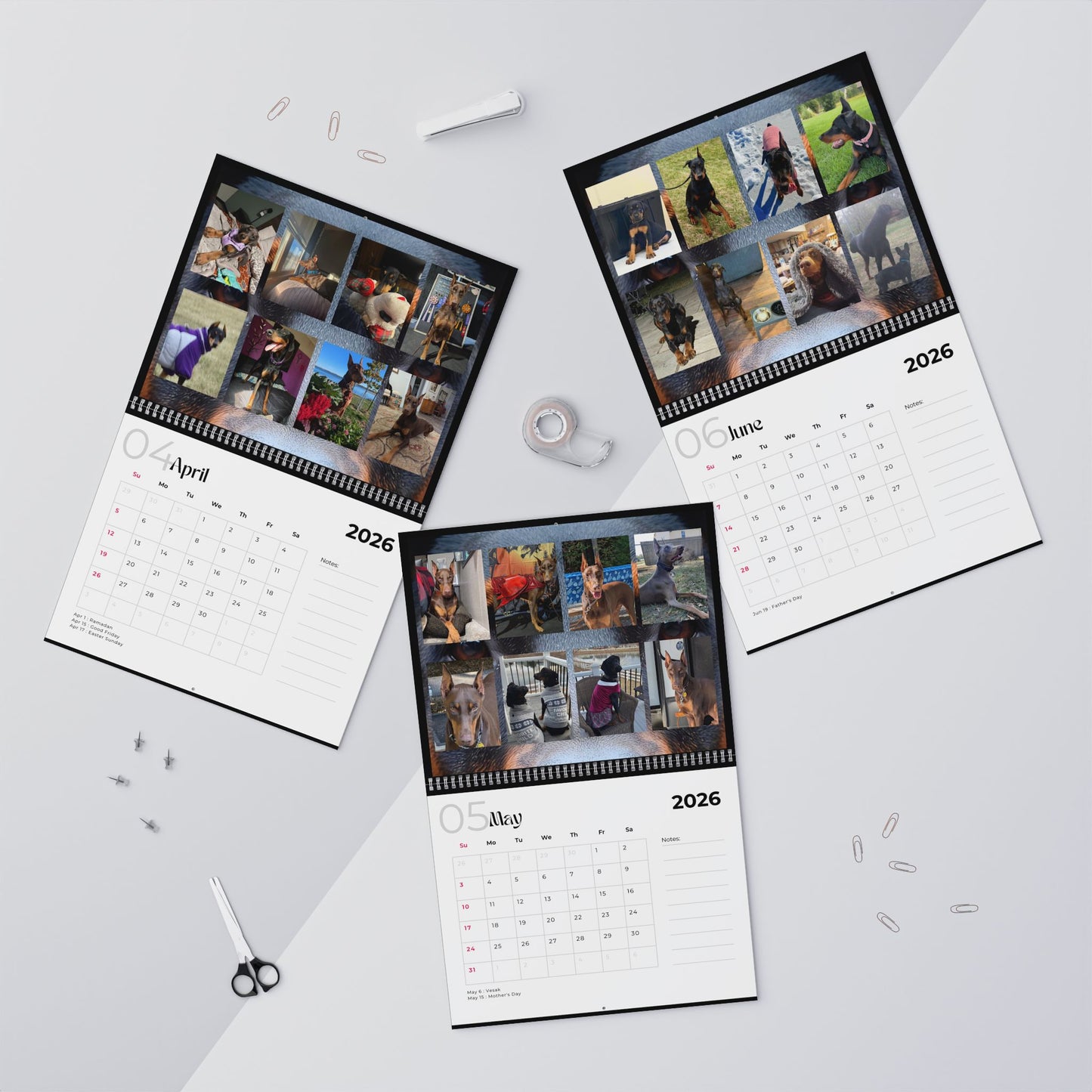Edition 24 2026 Doberman Calendars