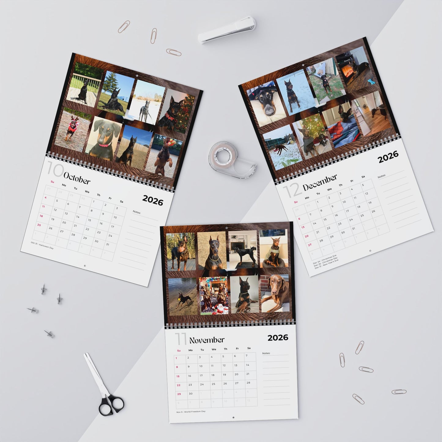 Edition 12 2026 Doberman Calendars