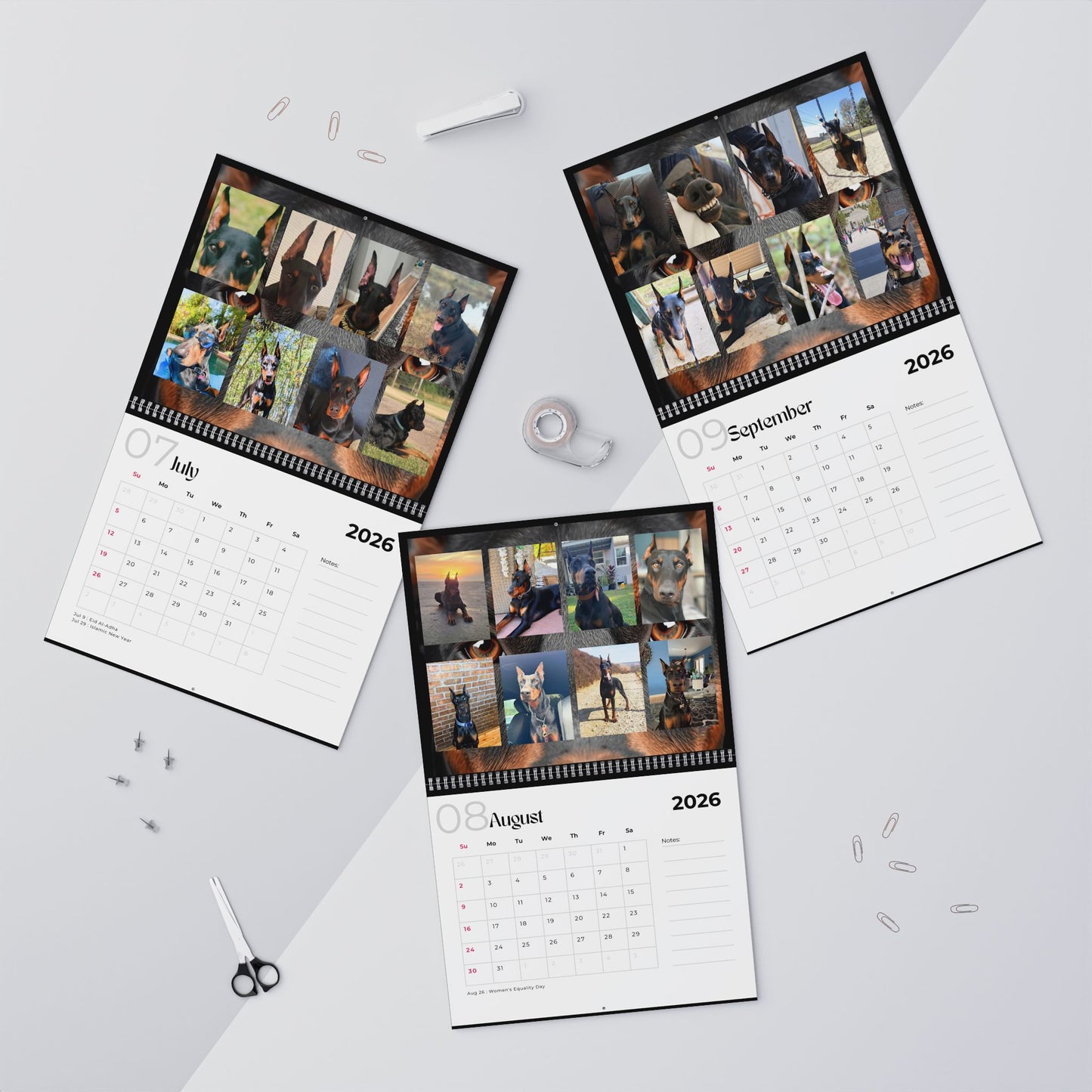 Edition 26 2026 Doberman Calendars