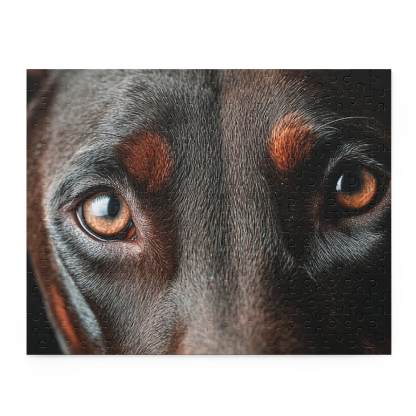Human Mental Stimulation 5 Puzzle Black Lab Portrait Puzzle 1 Jigsaw (120/252/500 Pieces)