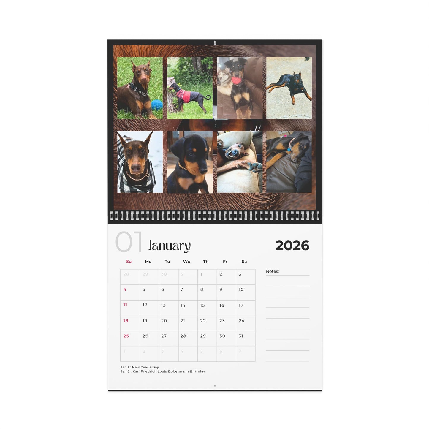 Edition 6 2026 Doberman Calendars