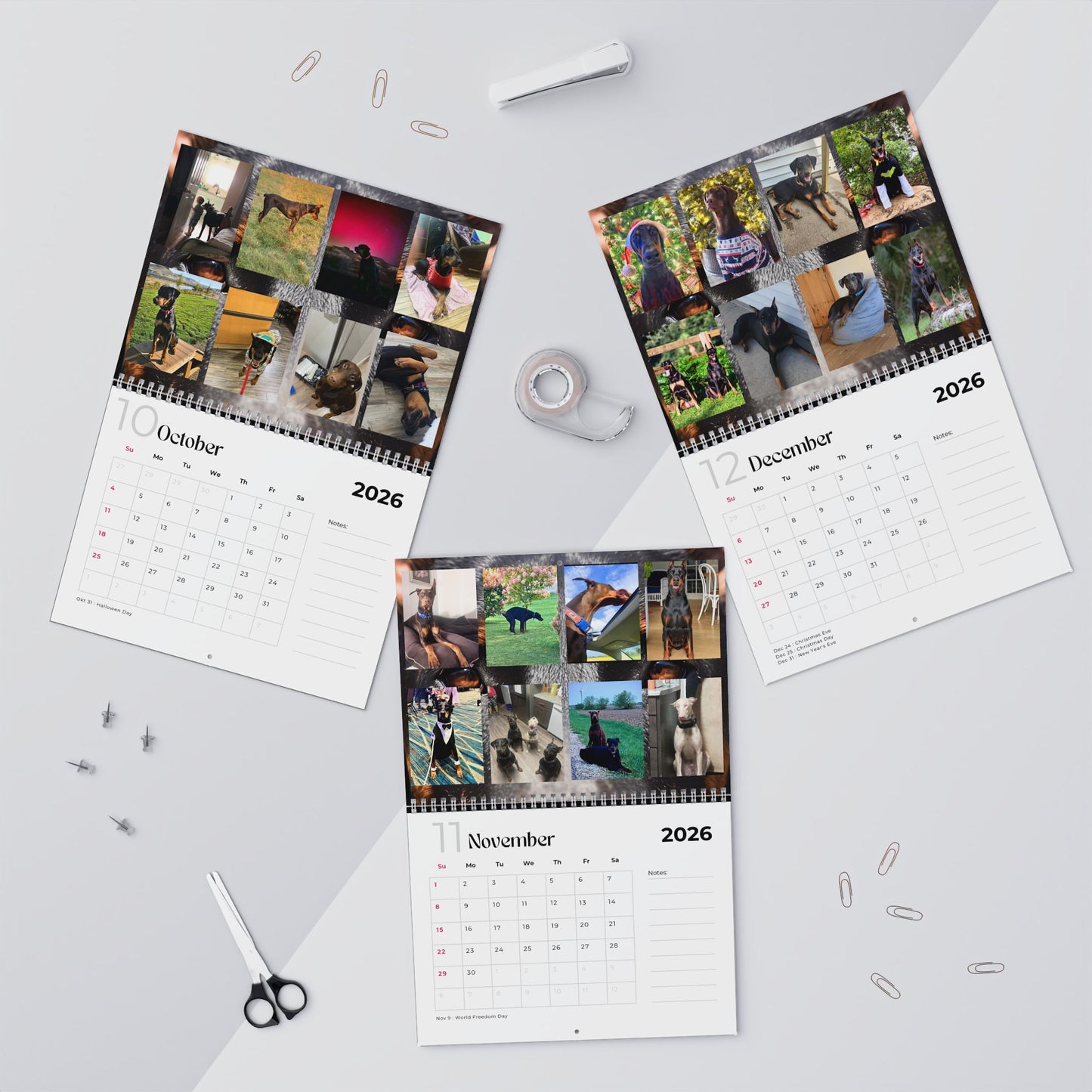 Edition 16 2026 Doberman Calendars