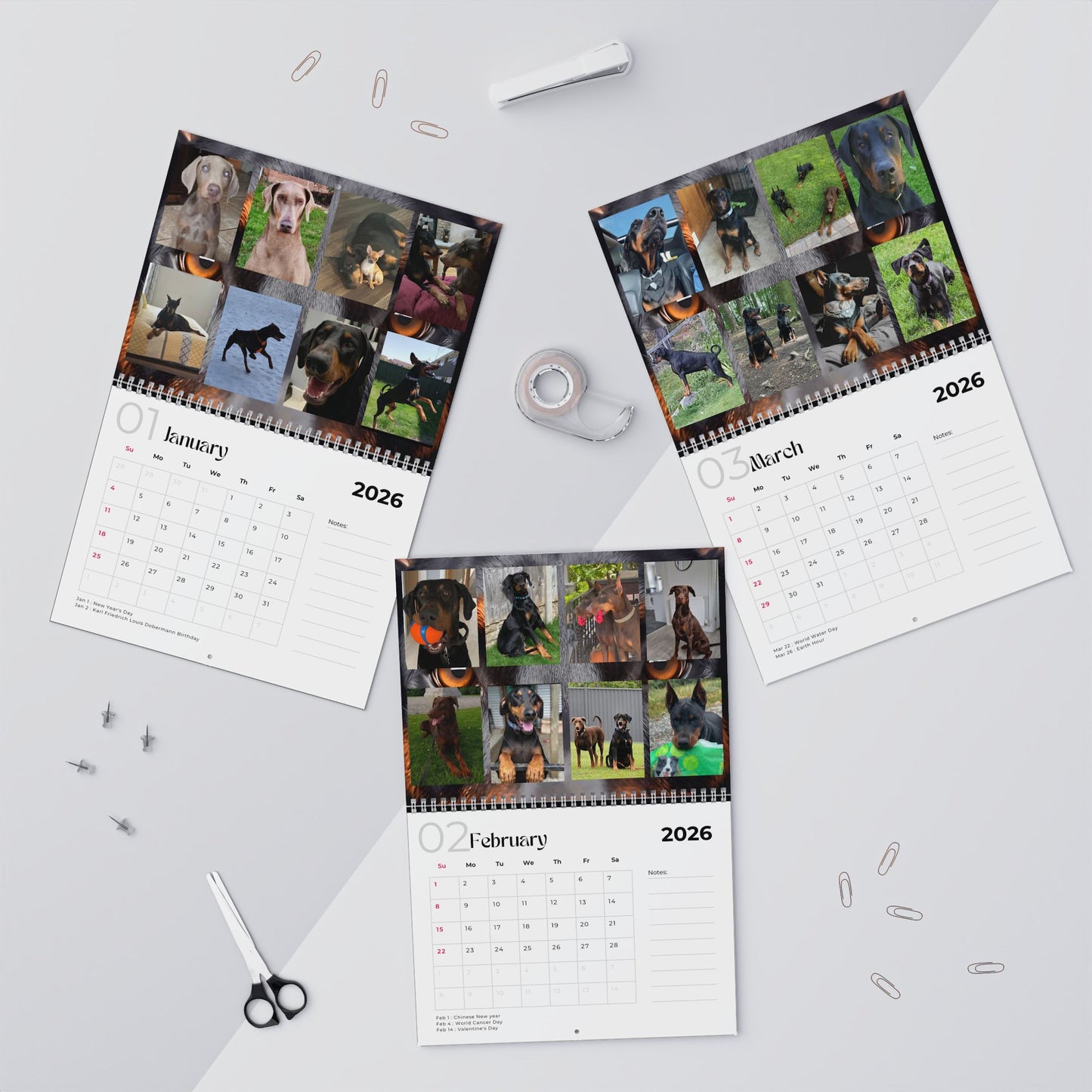 Edition 18 2026 Doberman Calendars