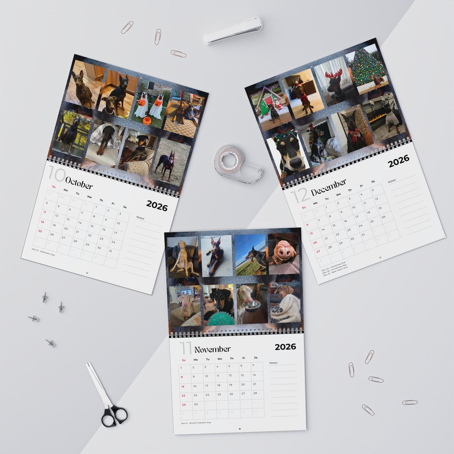 Edition 21 2026 Doberman Calendars