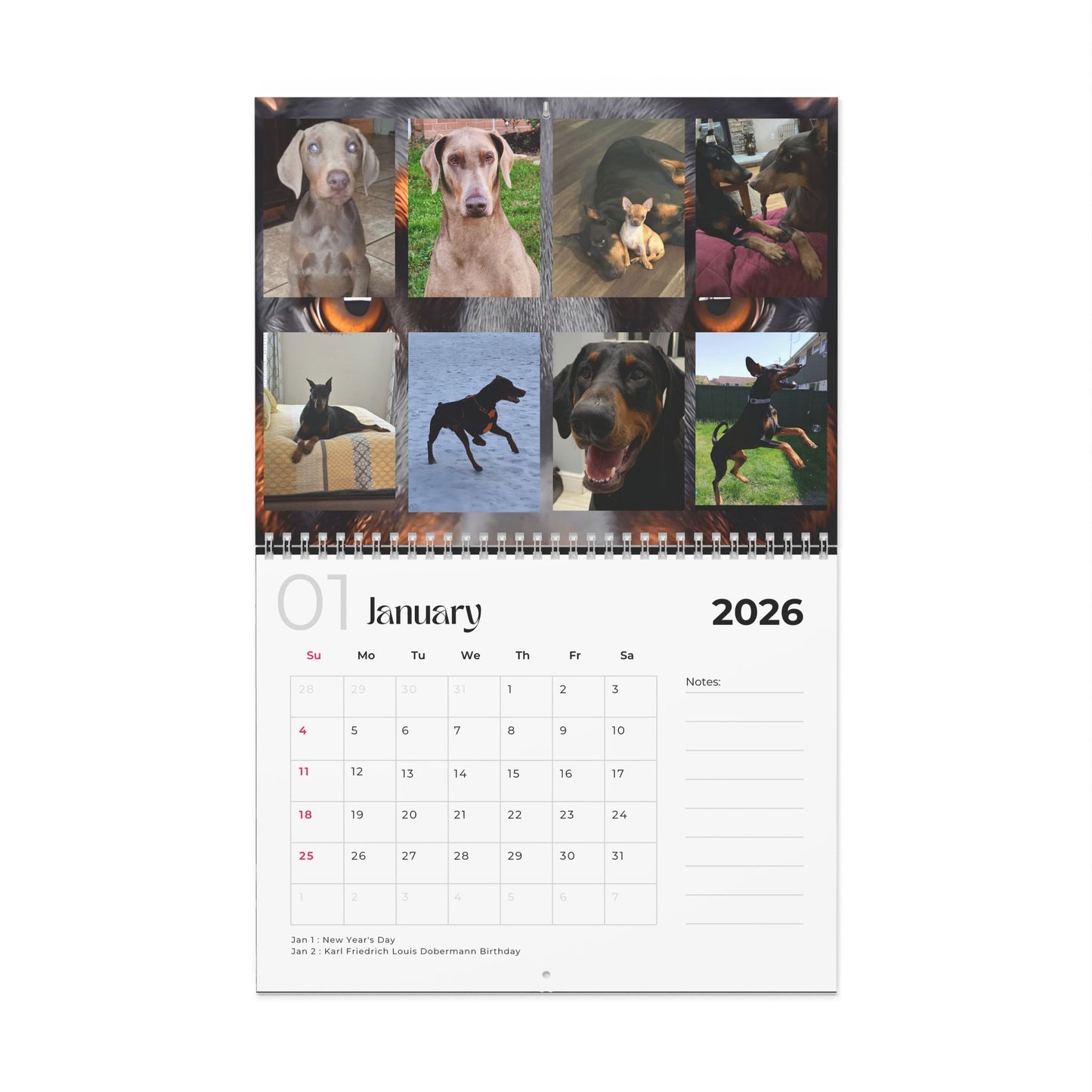 Edition 18 2026 Doberman Calendars