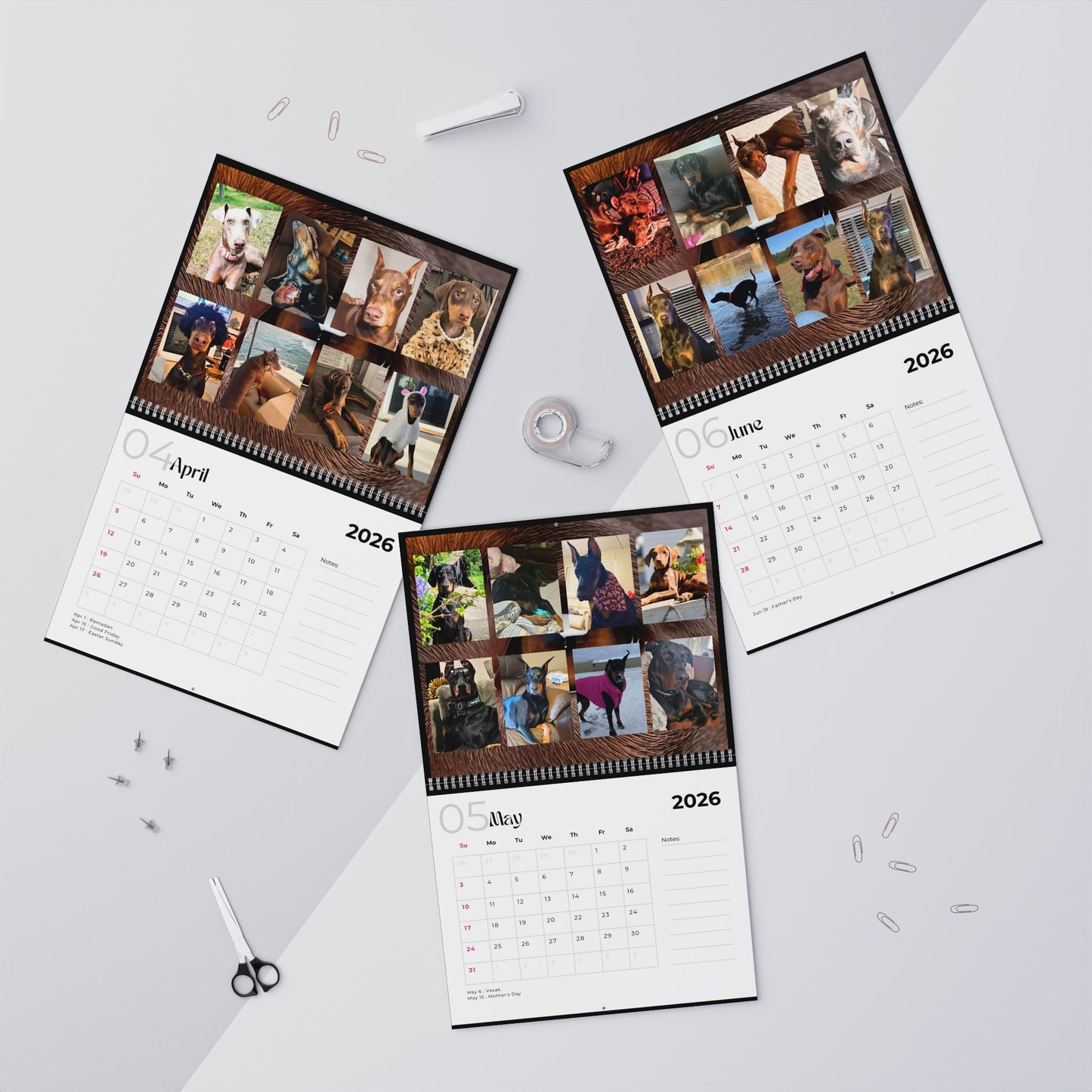 Edition 8 2026 Doberman Calendars
