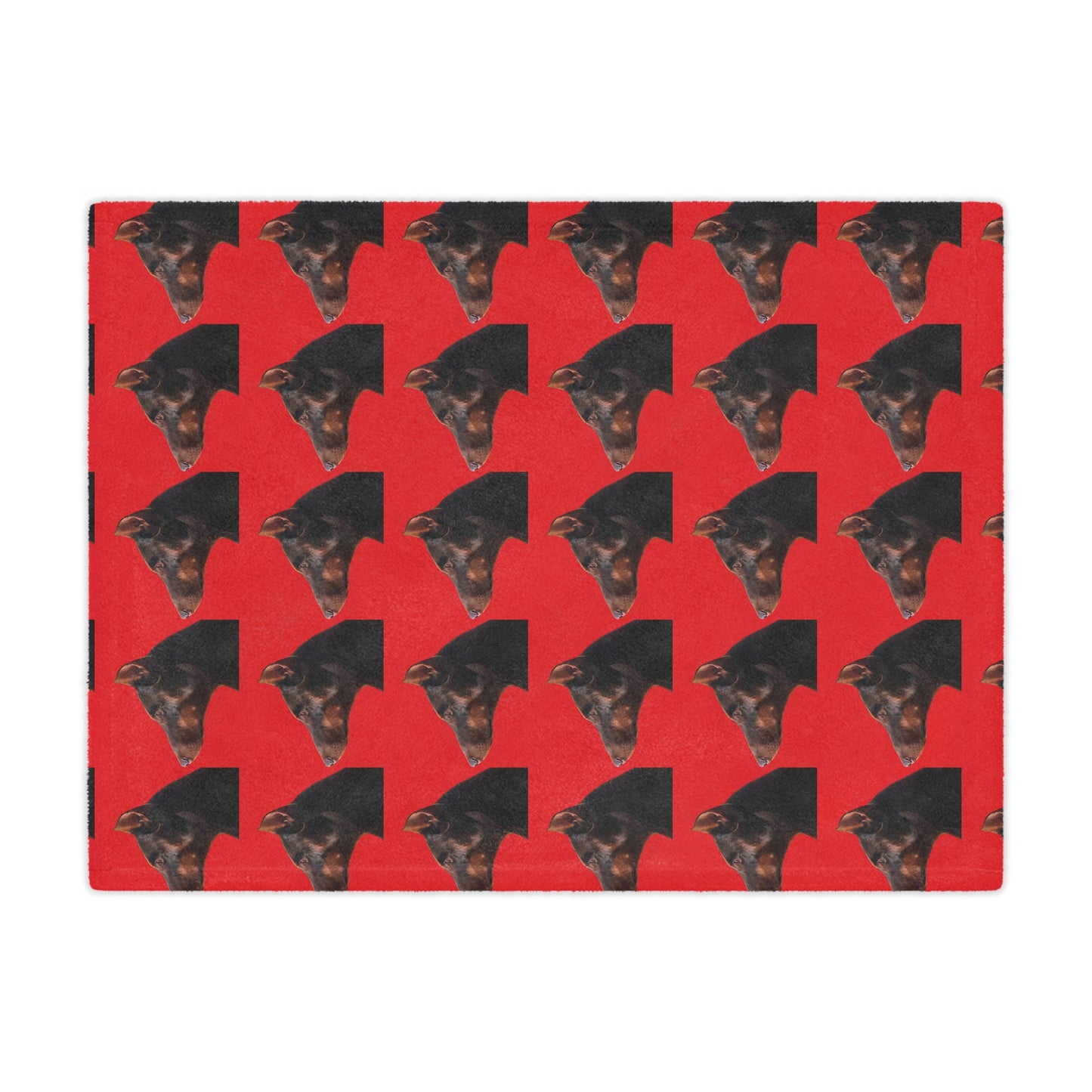 Custom Minky Blanket