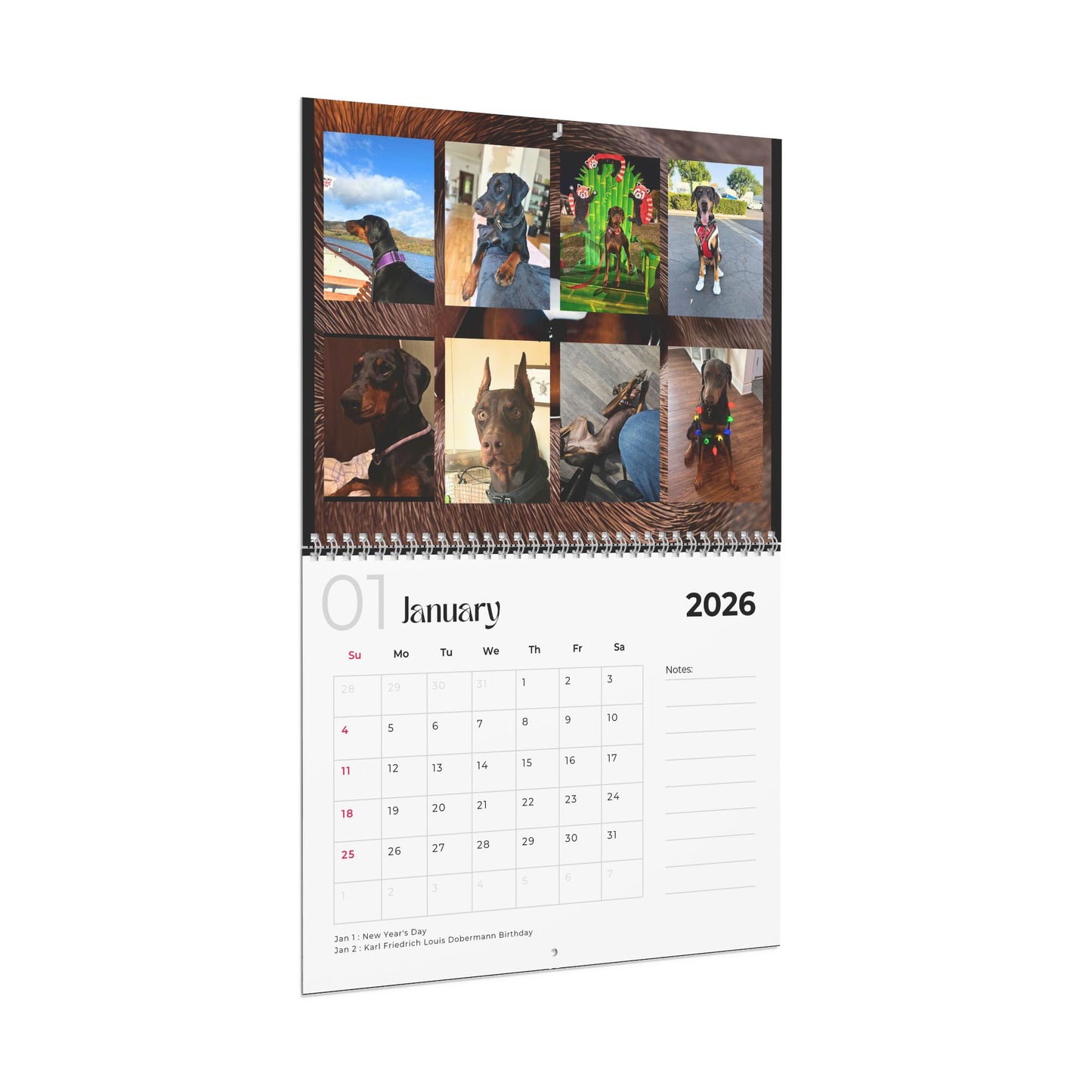 Edition 10 2026 Doberman Calendars